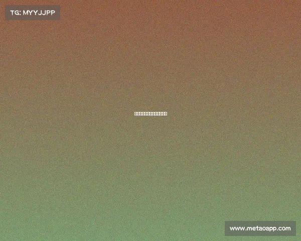 海洋运动赛事—海洋体育赛事